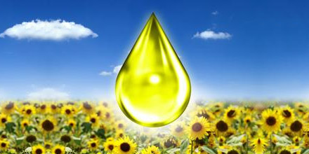 Advantages of Biodegradable Oils