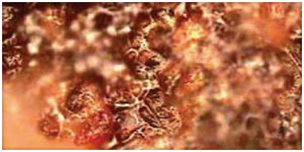 How to Monitor Oil Degradation