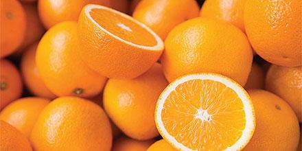 Seeing reliability at the world’s largest citrus processing facility