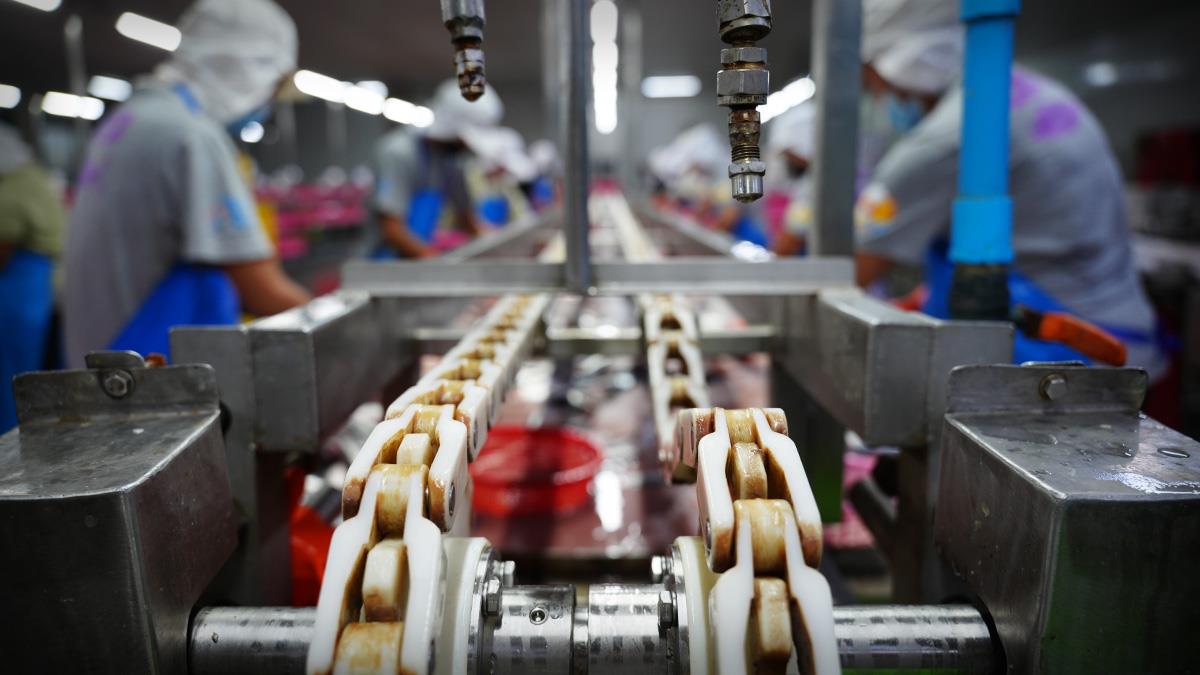 Specialty Lubricants That Lead to Life