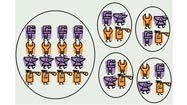 Centralized vs. decentralized maintenance