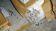 Continuous improvement: Cleanup in Aisle 5