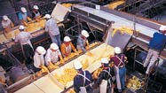 Food Lubricant Safety Audits - Is Your Facility Long Overdue?
