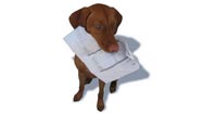The kaizen 30-day homework list