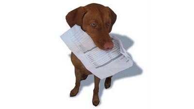 The kaizen 30-day homework list