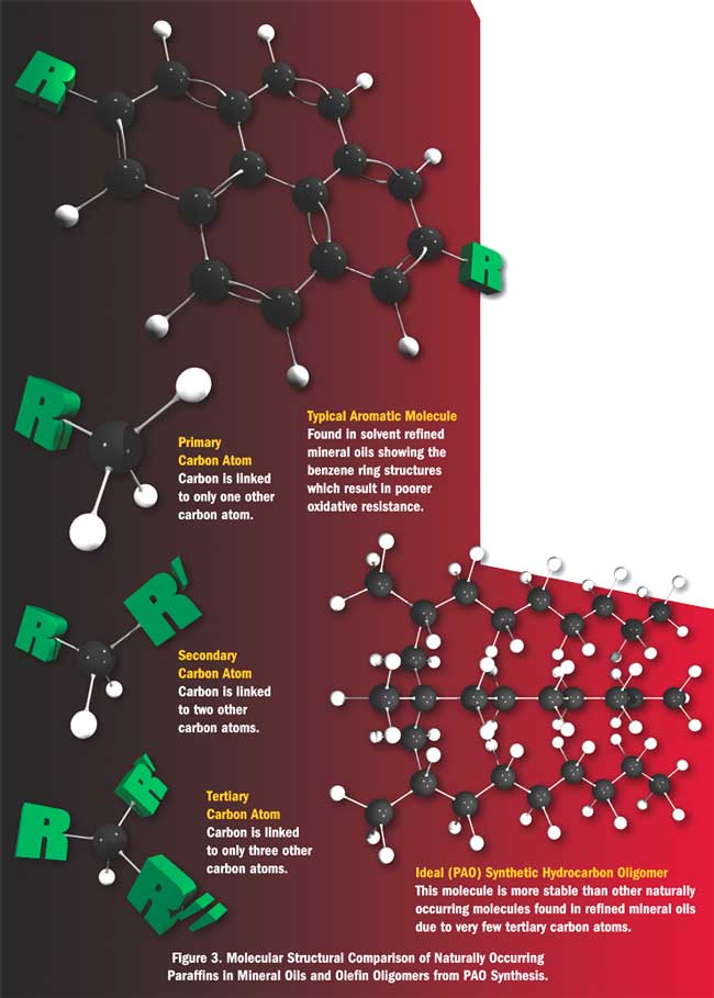 Why is carbon present in many types of molecules?