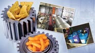 Frito-Lay Chips Away at Asset Care Goals Small
